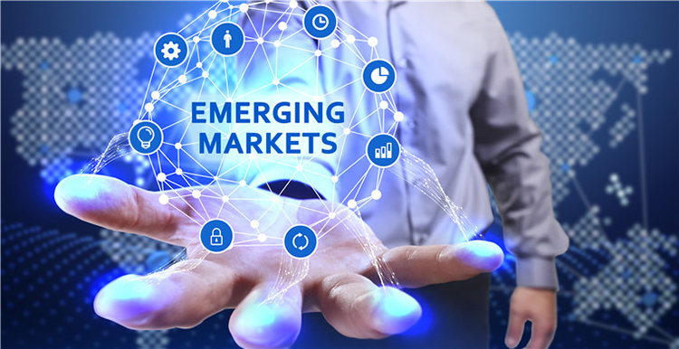 網(wǎng)絡(luò)營銷